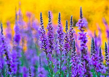 《真人快打1》2024年2月支持PC、主机跨平台联机